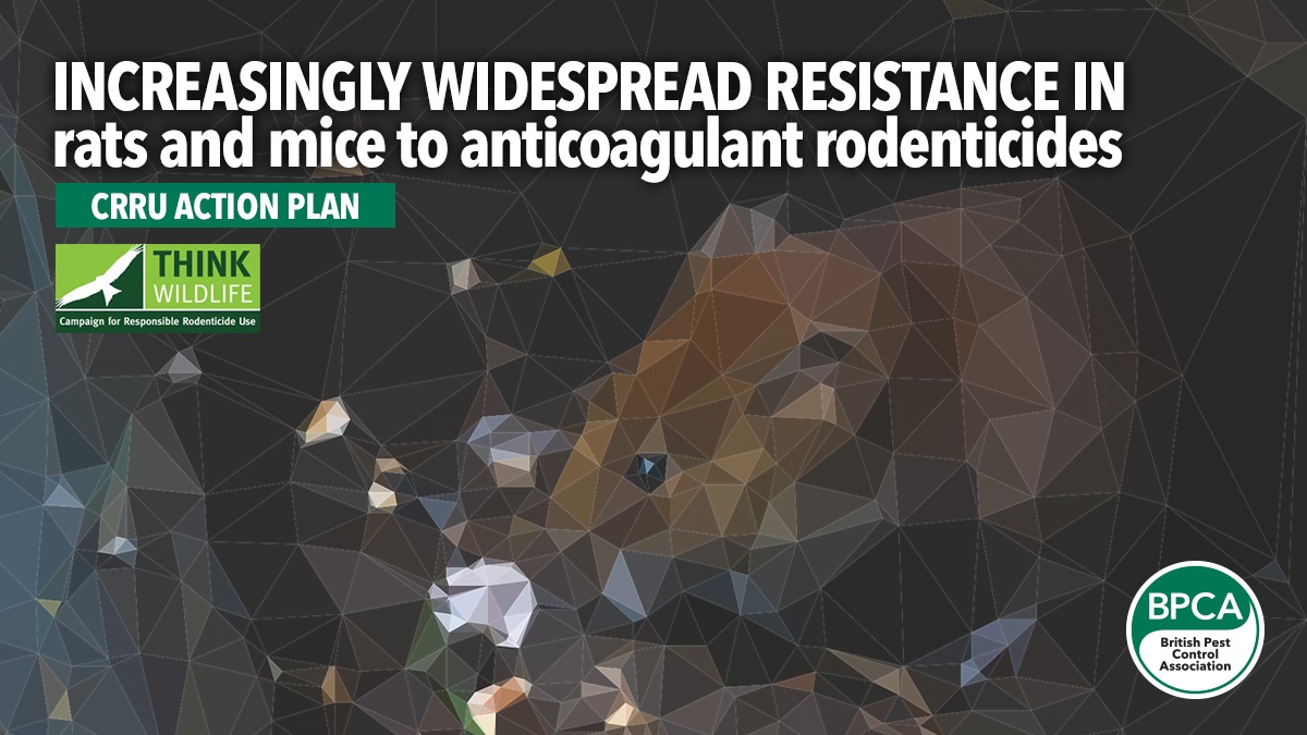 Increasingly widespread resistance in rats and mice to anticoagulant rodenticides